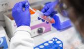 Pfizer'dan koronavirüs ilacı müjdesi: Klinik testler olumlu sonuçlanırsa hemen üretime geçilecek