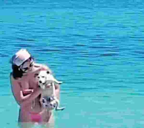 Volkan Demirel köpeğini tatile götürdü #1