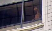 Pencerede gülümserken kameraya yakalandı! Evde tutulan yaratık ABD'de tartışma yarattı