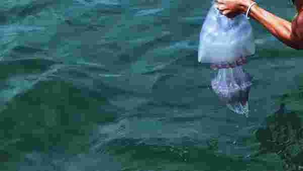 Zehirli denizanasının soktuğu 17 yaşındaki genç yaşam mücadelesini kaybetti