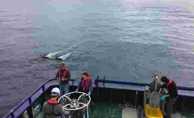 12 Balık Türünde Tespit Edildi: Karadeniz'de 'Mikroplastik' Kirliliği