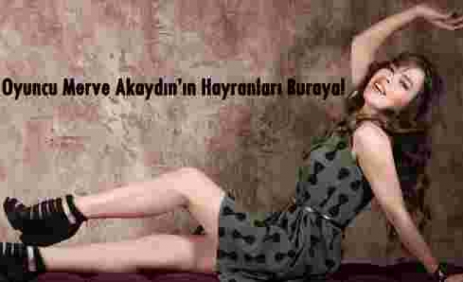 Güzel oyuncu Merve Akaydın'ın hayranları buraya!