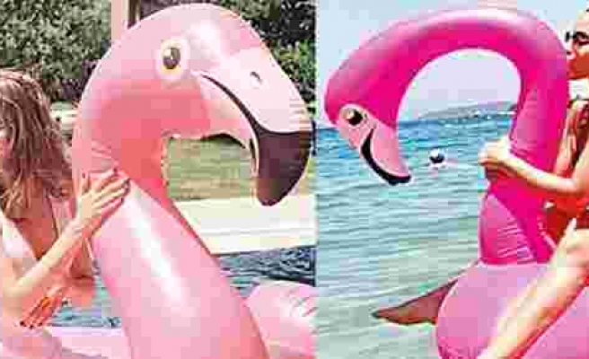 Ünlüler dünyasında 'flamingo' modası patladı!
