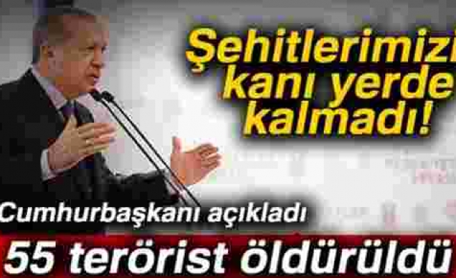 Cumhurbaşkanı Erdoğan: '55 teröristi etkisiz hale getirdik'