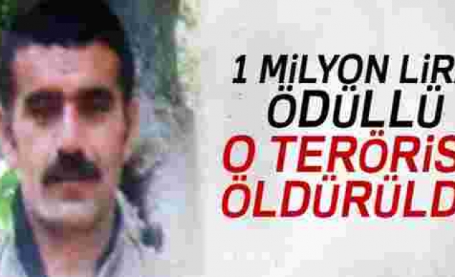 1 milyon lira ödüllü terörist öldürüldü!