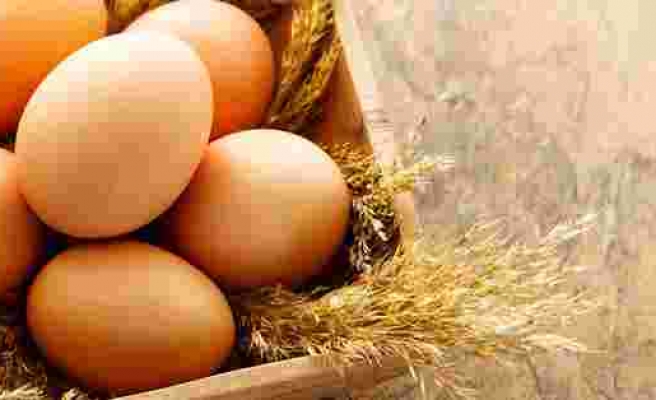 Yumurtanın Üzerindeki Sayılara Göre Sağlıklı Olup Olmadığını Anlayabilirsiniz