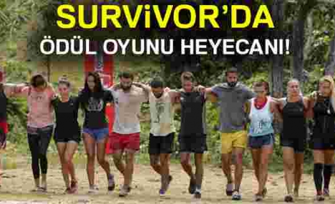 Survivor 6 Nisan ödül oyununu hangi takım kazandı? |SURVİVOR CANLI İZLE..
