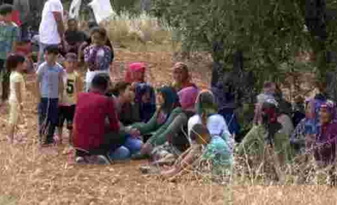 Gaziantepte damat cinneti: 3 ölü, 1 yaralı