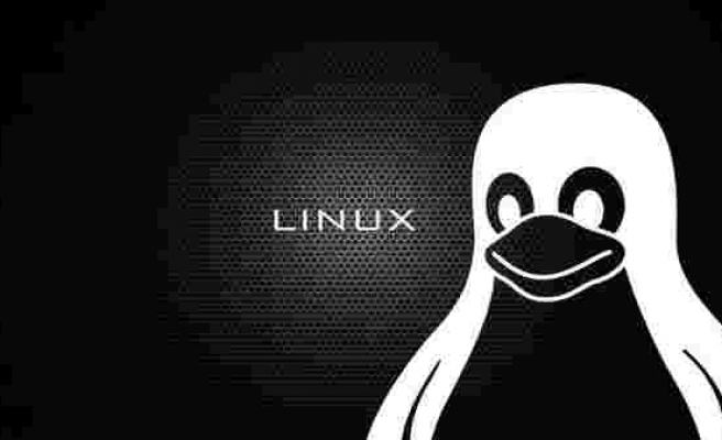 Linux 5.0 hayali başka bahara kaldı
