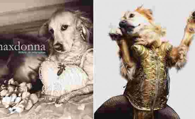 Ünlü Moda Fotoğrafçısı Vincent Flouret, Köpeği Maxdonna'yı Madonna Köstümleriyle Fotoğrafladı