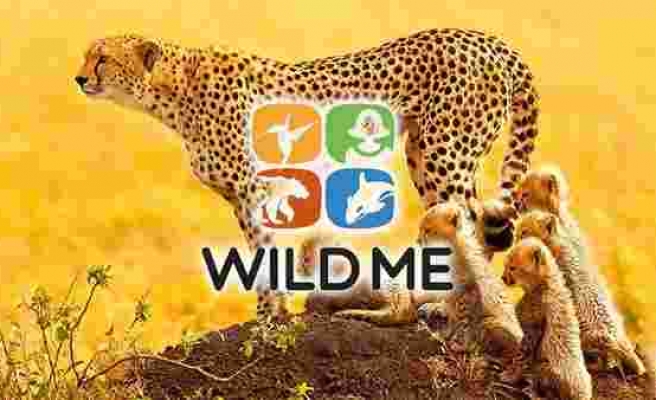 Wildbook: Hayvanlar için Facebook