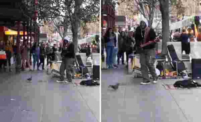 Dans Figürleriyle Sokak Müzisyeninin Performansının Önüne Geçen Güvercin