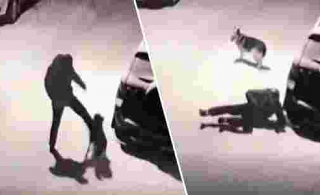 Karlı Havada Köpeğe Attığı Tekme Sonrası Anında İşleyen Karma İle Sümük Gibi Yere Yapışan Adam