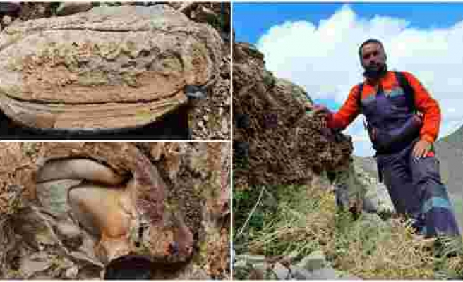 Tesadüfen Bulundu: Konya'da Deniz Canlılarına Ait 98 Milyon Yıllık Fosiller Keşfedildi