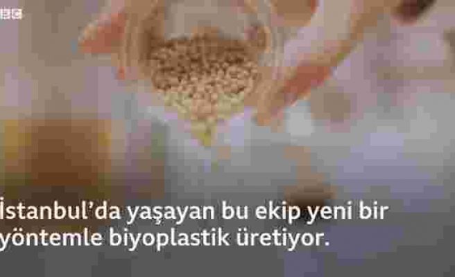 Türk Girişimciler Zeytin Çekirdeğinden Biyoplastik Üretiyor