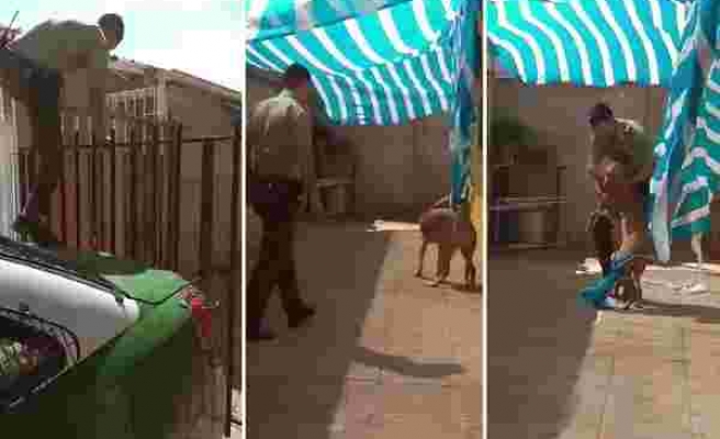 Brandaya Dolandıktan Sonra Çaresiz Kalan Köpek, Kendisini Kurtaran Polise Sarılarak Teşekkür Etti!