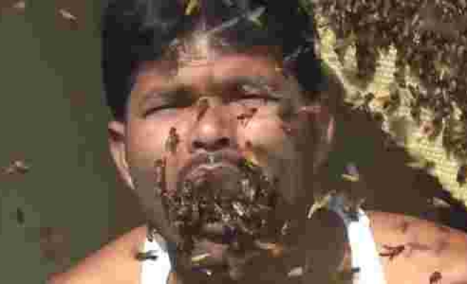 Cesaretin ve Çılgınlığın Böylesi: Hindistanlı Bal Toplayıcısı Yüzlerce Arıyı Sebepsizce Ağzına Doldurdu!