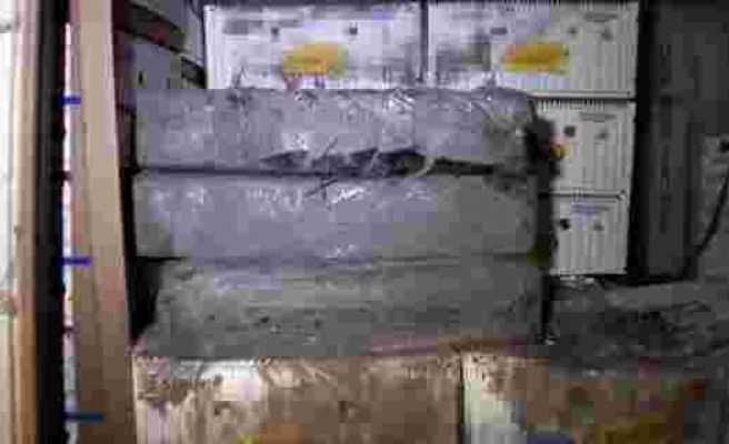 İstanbul'da muz yüklü konteynerden 185 kilo kokain çıktı