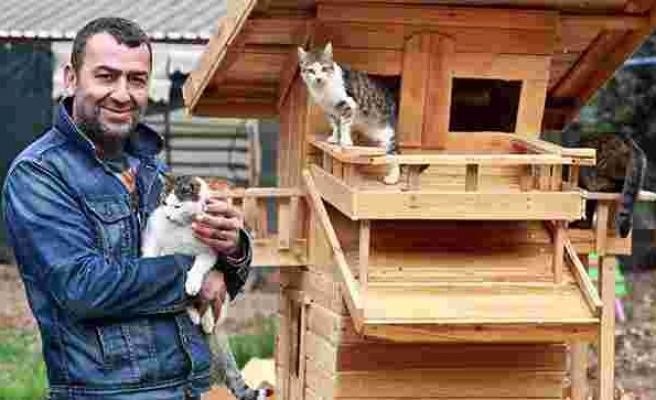 'Kedi Köyü' Kurup Para Toplamıştı: ASKODER Başkanı'na 'Ömür Boyu Hayvan Bulundurmama' Cezası