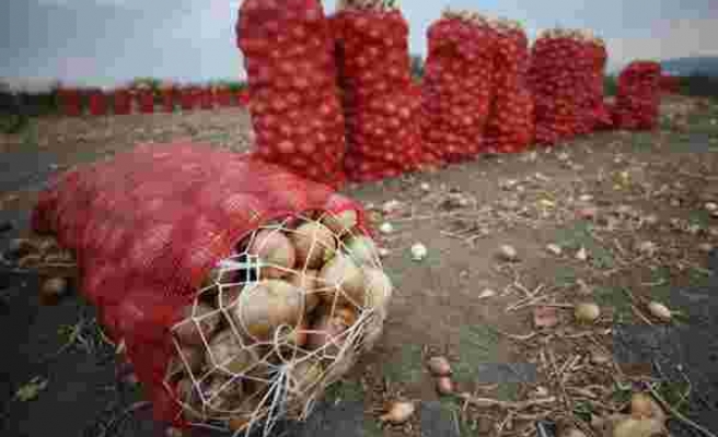 Fiyatlar İçin Erdoğan'dan Yeni Kararname: Kuru Soğan İthalatında 'Sıfır Gümrük Vergisi' Uygulaması Uzatıldı