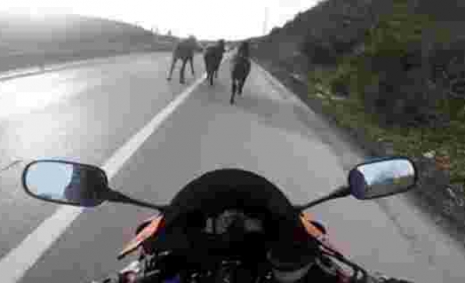 (Özel) Şile yolunda motosikletli asfalt kovboyları kamerada