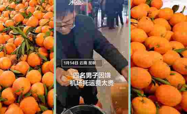 4 Çinli, Ek Bagaj Ücreti Ödememek İçin Yanlarındaki 30 Kilo Portakalı Yedi: 'Bir Daha Asla...'