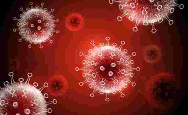 60 Derece Sıcaklığa Maruz Bırakılan Koronavirüs Çoğalmaya Devam Etti