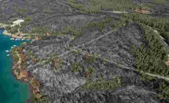 80 Hektar Alan Kül Oldu: Bodrum'daki Yangının Boyutları Gün Ağarınca Ortaya Çıktı