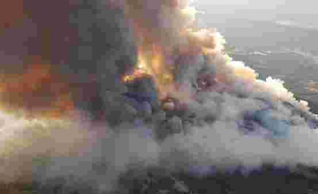 82 Yılda 106 Bin 603 Yangın Çıktı: Türkiye'de Kıbrıs'ın Bir Buçuk Katı Orman Yok Oldu