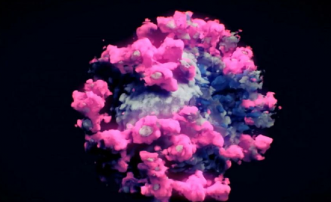 ABD’de çarpıcı araştırma: Bağışıklık sistemi mutasyonları tanıyor