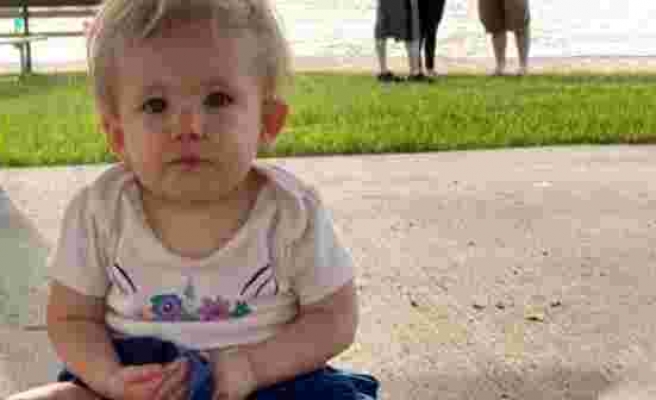 ABD'de pitbull dehşeti: 17 aylık bebeği öldürdü