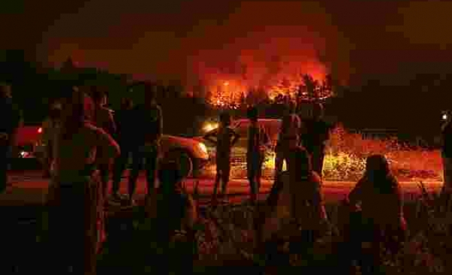 Acı Bilanço: Türkiye'de Bu Yıl 1.965 Yangın Çıktı ve Toplam '5.469 Hektar Ormanlık Alan Zarar Gördü'