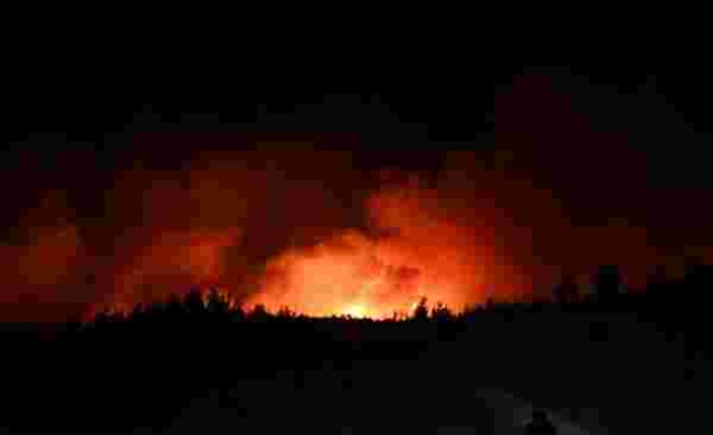 Adana Aladağ'da orman yangını