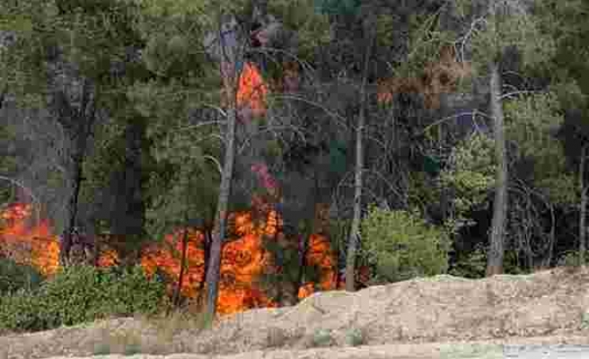 Adana’da iki ayrı orman yangını