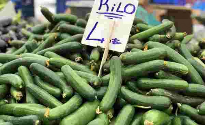 Ağustos'ta fiyatı en çok artan ürün olan salatalık 4 liradan alıcı buluyor