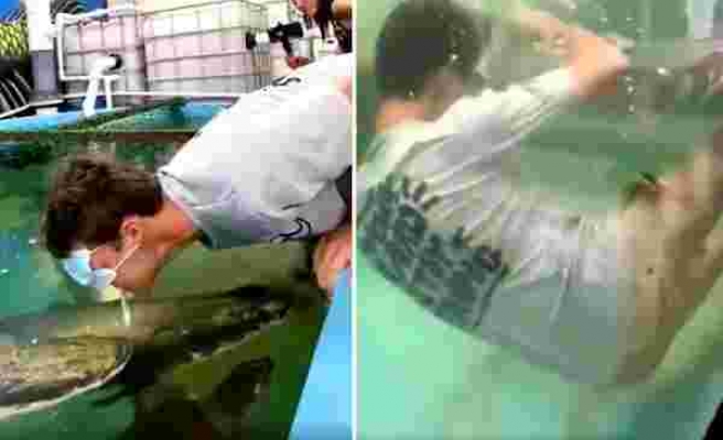Akvaryumdaki Balığı Ağzıyla Beslemeye Çalışırken Bayılan Adamın Viral Olan Fake Görüntüleri