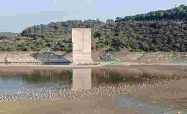 Alibeyköy Barajı kurudu