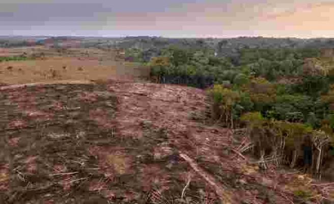 Amazon Ormanlarının Çevreye Zararı, Faydasını Geçti