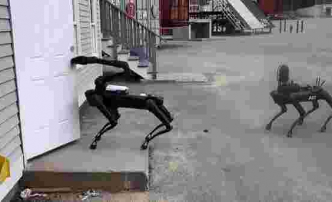 Artık Aktif Görevdeler: Boston Dynamics'in Robot Köpekleri, Polisin Bomba İmha Birimine Katıldı