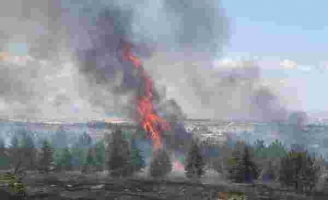 Atatürk Orman Çiftliği Arazisinde Yangın: 1 Kişi Gözaltında
