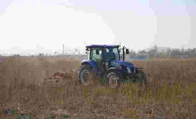 Atatürk Orman Çiftliği'nde Üretim Başlıyor: Ankara Büyükşehir Belediyesi Tarafından Kiralanan Arazide Çiftçiye Dağıtılmak Üzere Tohum Üretilecek