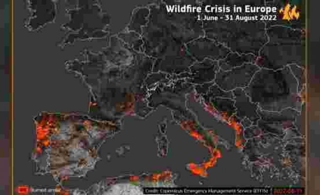 Avrupa’daki orman yangınları uydu görsellerinde
