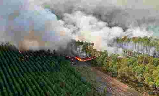 Avrupa Sıcaktan Kavruluyor: Orman Yangınları Başladı, İlk Kez Kırmızı Alarm Verildi