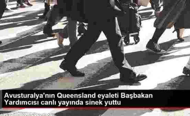 Avusturalya'nın Queensland eyaleti Başbakan Yardımcısı canlı yayında sinek yuttu