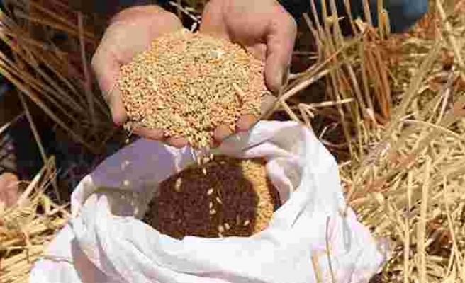 Bakanlıktan Hindistan'dan buğday ithalatı iddialarına açıklama