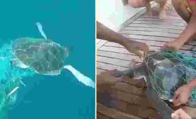 Balıkçı Ağına Takılarak Yaşam Mücadelesi Veren Deniz Kaplumbağasını Kurtaran Güzel İnsanlar