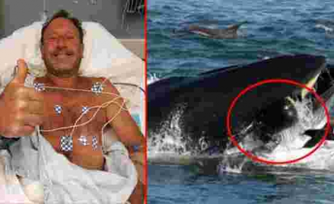 Balinanın yutup tükürdüğü ABD'li balıkçı, 3 kişinin öldüğü uçak kazasından da sağ kurtulmuş