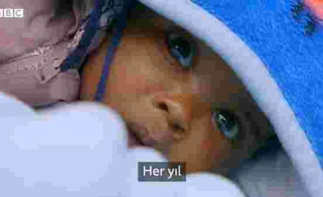 BBC Africa Eye Ekibi, Kenya'da Evsiz Annelerden Çalınıp Karaborsada Satılan Bebeklerin İzini Sürdü