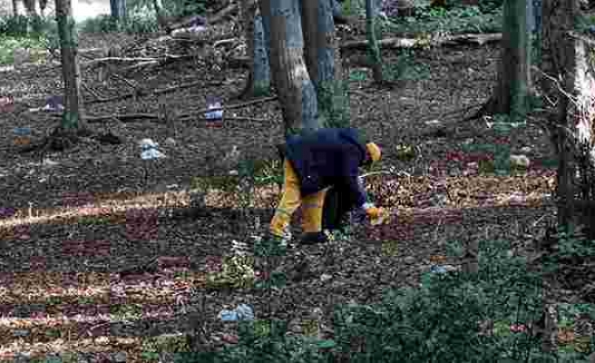 Belgrad Ormanı'nda Piknik Alanlarında 22, Orman Derinliklerinde 9 Ton Çöp Toplandı