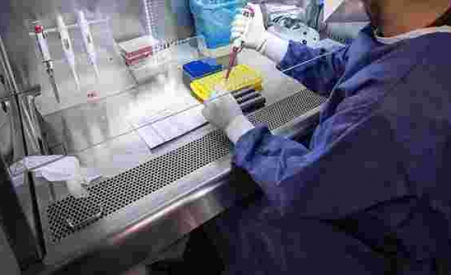 Bilim Kurulu Üyesi Açıkladı: Varyantlar PCR Testlerinden Kaçabiliyor mu?
